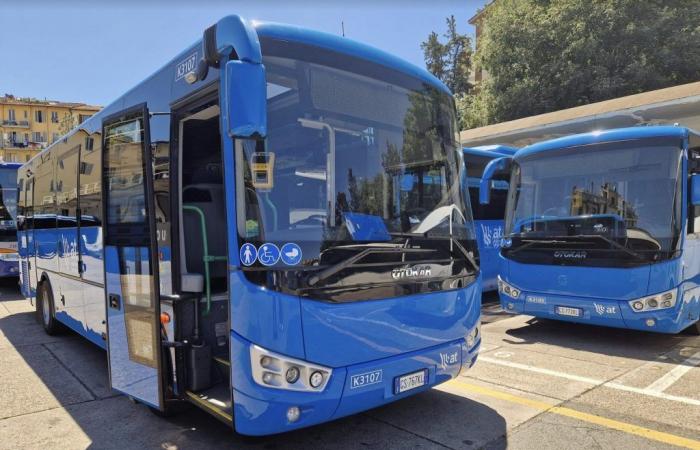 Nuovi autobus extraurbani tra Firenze e Arezzo. E At punta a rinnovare metà della flotta entro il 2025 – .