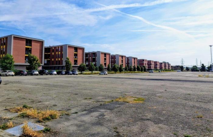 Nuovo Palasport di Asti, via libera al progetto “ridotto” ma sostenibile – .