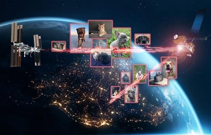 Centinaia di immagini di animali inviate nello spazio tramite laser VIDEO – Spazio e Astronomia – .