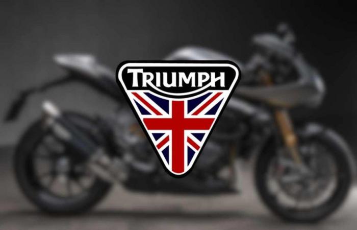 Triumph Limited Edition: pochi esemplari ad un prezzo scioccante