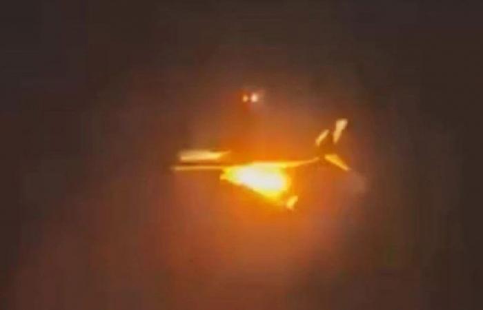 Aereo colpito da un uccello prende fuoco in volo, video dell’incendio sul Boeing 737 in Nuova Zelanda – .