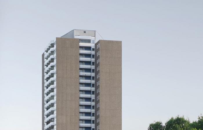 Un appartamento di 60 mq tutto in cemento a Colonia – .
