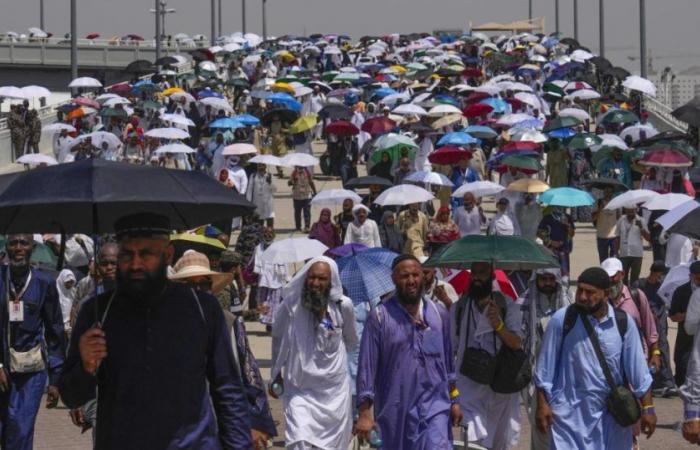 Massacro tra i pellegrini in viaggio verso la Mecca. Oltre 300 egiziani sono morti a causa del caldo torrido – .