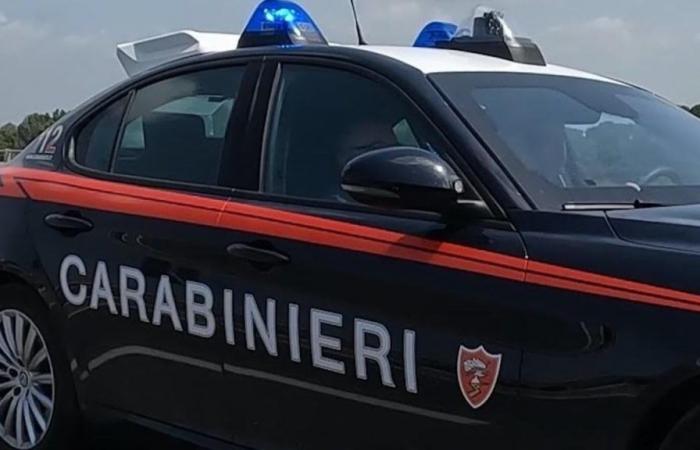 Napoli, trasportati alimenti per animali trovati rubati: denunciato 46enne