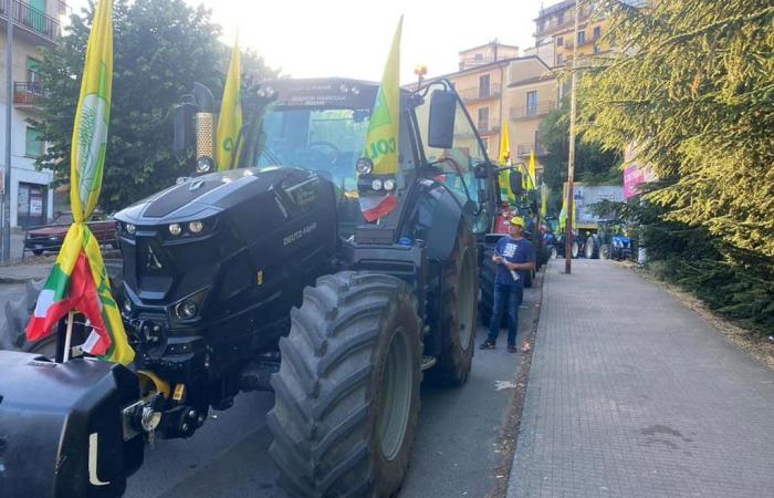 trattori in marcia a Cosenza – .
