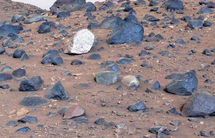 Il rover della NASA scopre un misterioso masso di colore chiaro “mai osservato prima” su Marte – .