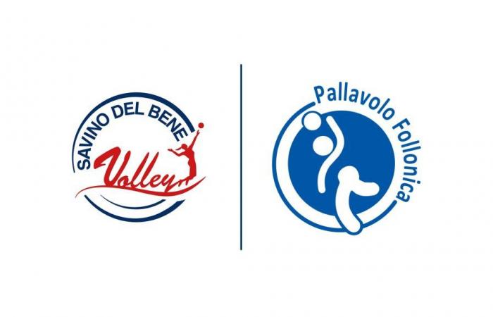 Savino Del Bene Volley e Pallavolo Follonica annunciano una nuova partnership – .