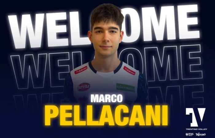 ecco il difensore centrale Marco Pellacani – .