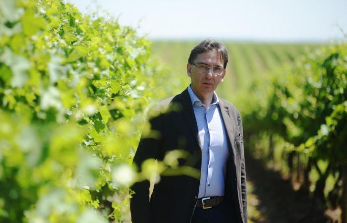 Christian Scrinzi è il nuovo Direttore Generale di Collis Veneto Wine Group – .