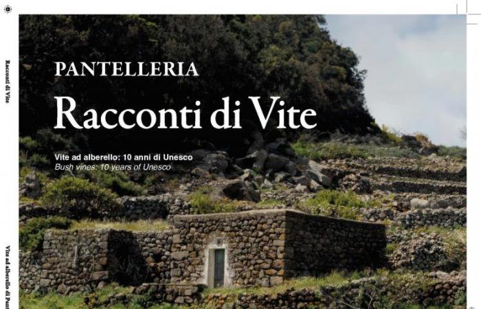 Presentato ieri a Milano il libro del Parco sul vitigno di Pantelleria – .