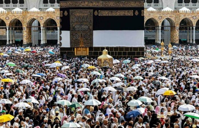 Strage alla Mecca, oltre 900 pellegrini morti a causa del caldo record (che arriva oltre i 50 gradi) – .