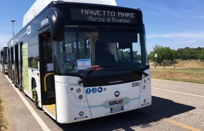 Ravenna: potenziato il servizio Navetto Mare: è gratuito – .