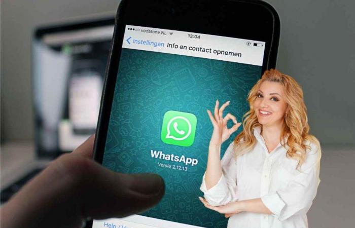 Whatsapp, addio ritardi nella condivisione di contenuti importanti: le novità – .