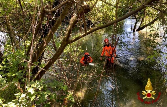 Claudio Togni, l’operaio caduto nel fiume mentre lavorava: le ricerche – .