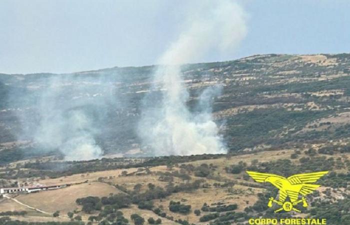 Sardegna: 11 incendi. Fiamme vicino alle aziende, morti alcuni animali