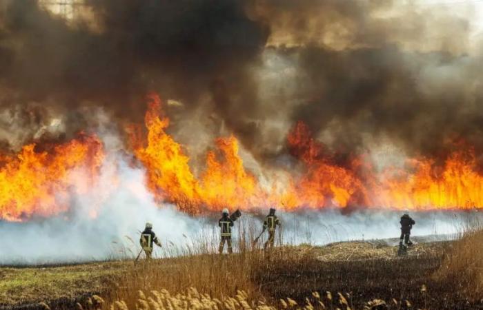 Rischio incendi, dal 1° luglio vietato accendere fuochi in Toscana – .