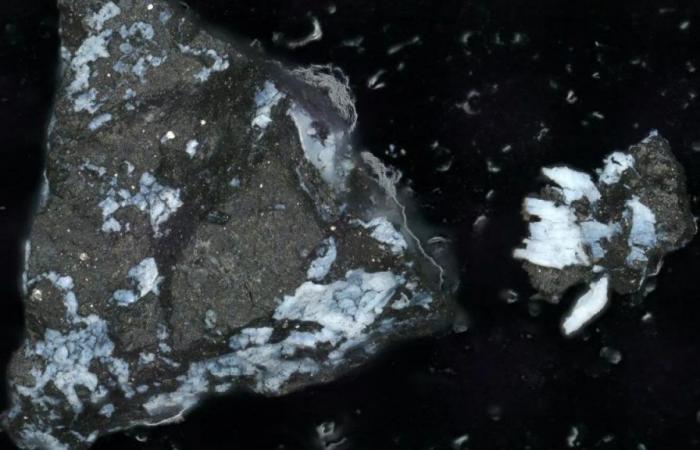 La NASA scopre gli ingredienti della vita sull’asteroide Bennu! – .