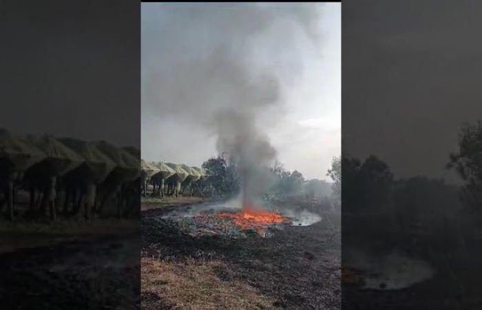 SOS incendi, “più di tre incendi al giorno nelle campagne di Adelfia” – .