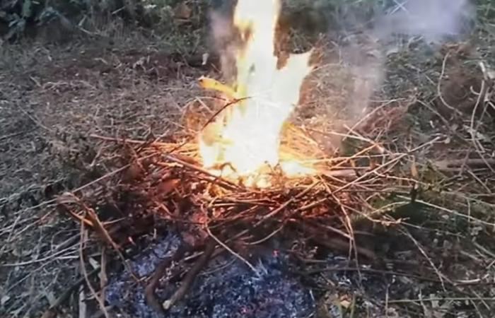 Incendi, dal 1° luglio vietato accendere fuochi in Toscana – .