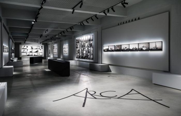 Gallerie d’Italia Turin, the exhibition “Antonio Biasiucci. Arca” opens – .