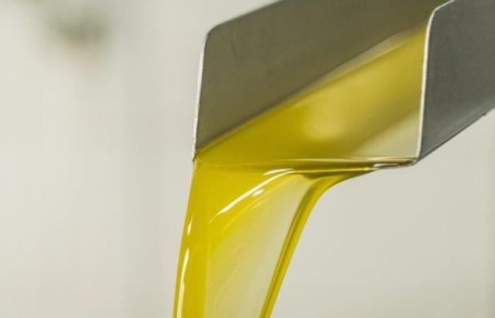 In Piemonte RenOlis ha evidenziato un aumento del 16% di oli e grassi usati – .