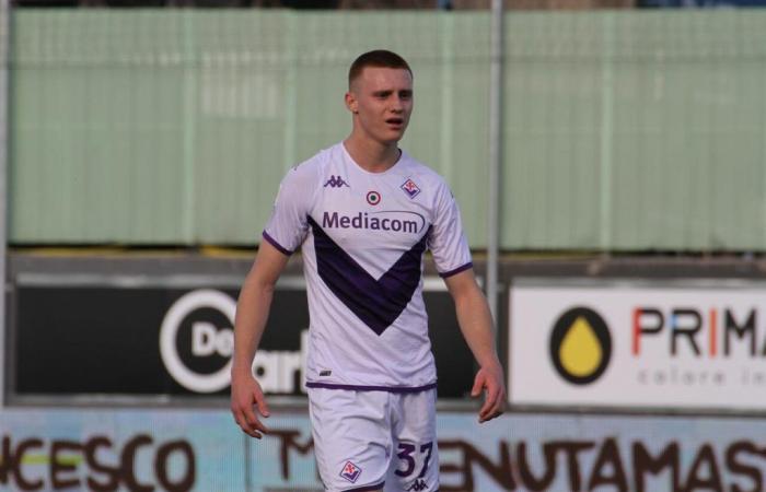 Fiorentina, per Comuzzo non c’è solo la Reggiana: i dettagli – .