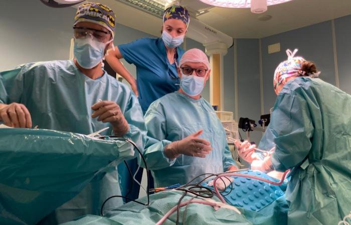 Primo intervento di chirurgia ortognatica a Cremona – .