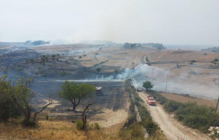 Incendi in Sicilia, incendi a Ragusa, interventi delle guardie forestali e dei Canadair – BlogSicilia – .