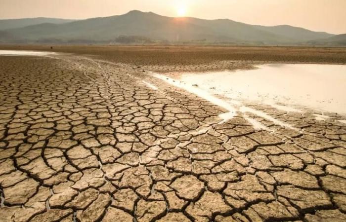 Sicilia, al via due bandi da circa 19 milioni per contrastare la siccità – .