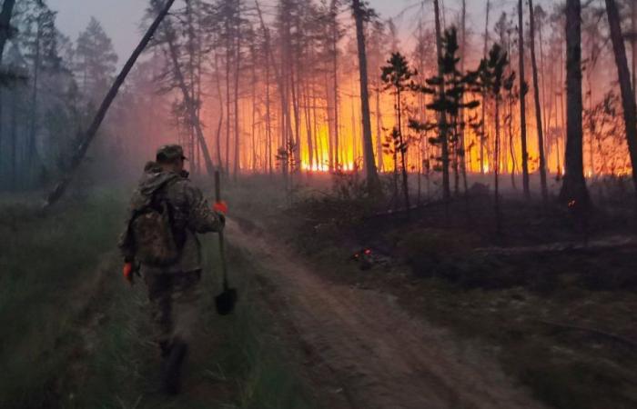 Gli incendi artici attraversano l’estremo nord della Russia, rilasciando megatonnellate di carbonio – .