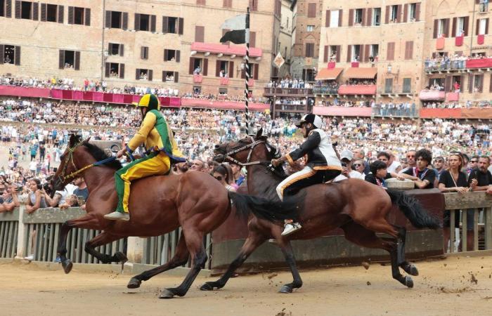 Palio, Lupa wins with a thrill. Bellocchio sprints on Viso d’Angelo – .