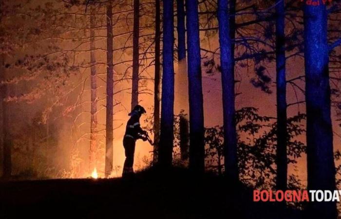 Incendi boschivi in ​​Emilia-Romagna in fase di allerta fino al 15 settembre – .