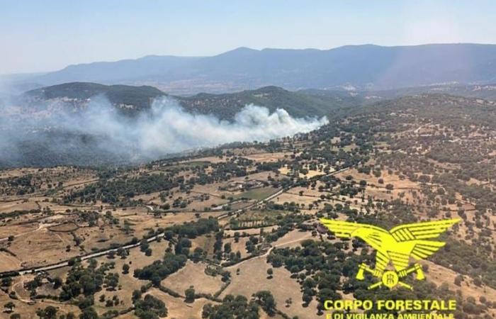 Oggi 13 incendi in Sardegna: elicotteri a Nuoro, Osidda e Nurri