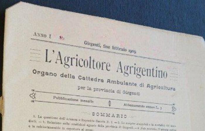 La Cattedra Itinerante dell’Agricoltura di Agrigento, la sua rilevanza economica e sociale – .