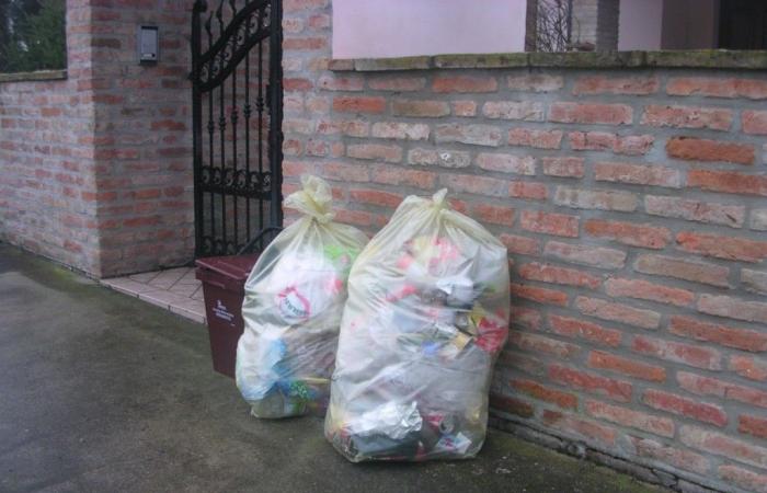 Raccolta differenziata dei rifiuti. Ferrara ‘leader’ in Emilia-Romagna – .