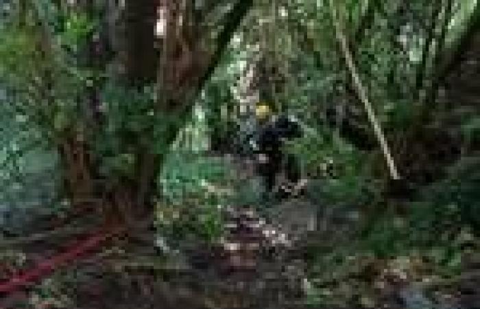 Il pensionato scomparso da una settimana è stato trovato morto nel bosco – .