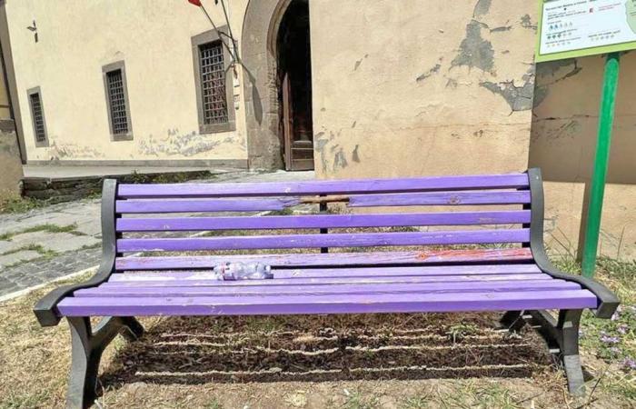 Fibromyalgia, purple bench in Piazza della Rocca damaged – .