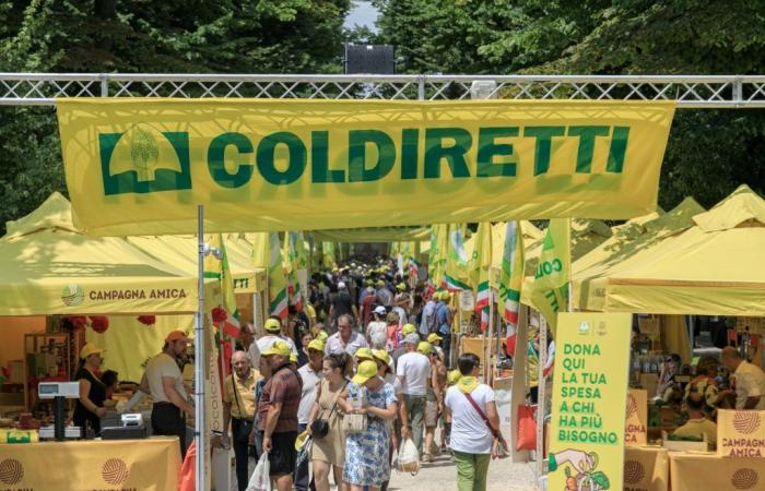 220.000 visitatori al Villaggio Coldiretti di Venezia – .