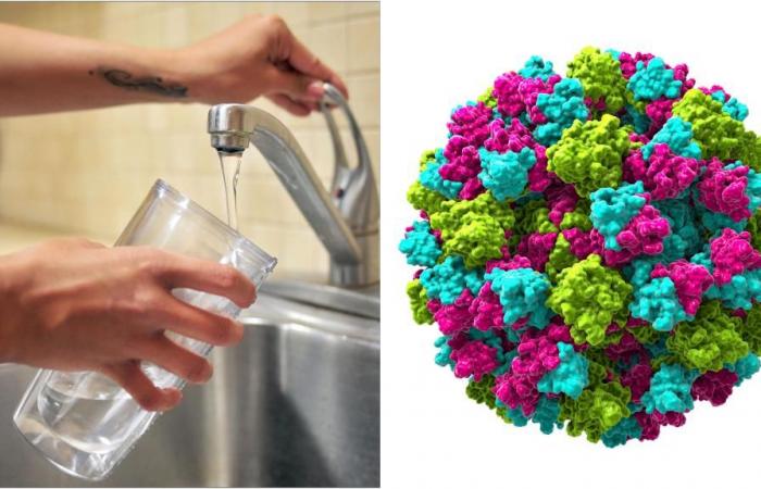 norovirus trovato nei serbatoi d’acqua – .