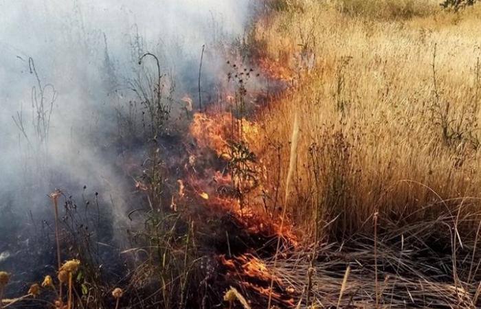Misure di prevenzione del rischio incendi boschivi – Ordinanza anno 2024 – .