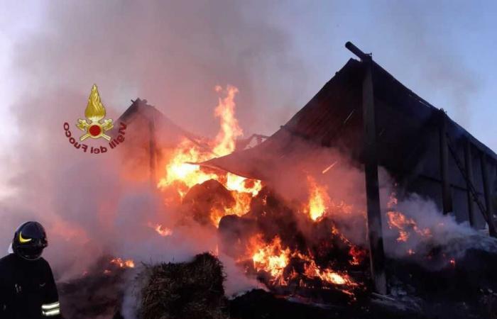 Squadre dei Vigili del Fuoco intervengono per l’incendio a Tolfa – .