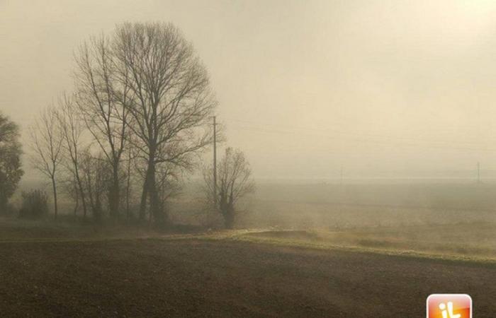 Oggi nebbia, mercoledì 3 nubi sparse, giovedì 4 sereno » ILMETEO.it – .