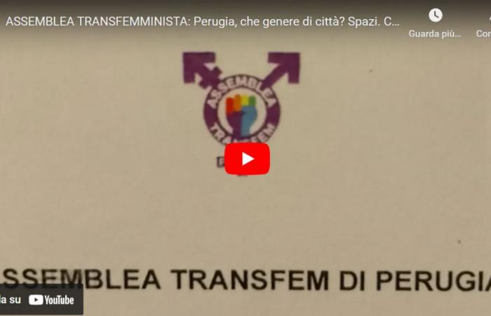 incontro sulla piattaforma transfem Perugia – Il Paese delle donne online – magazine – .