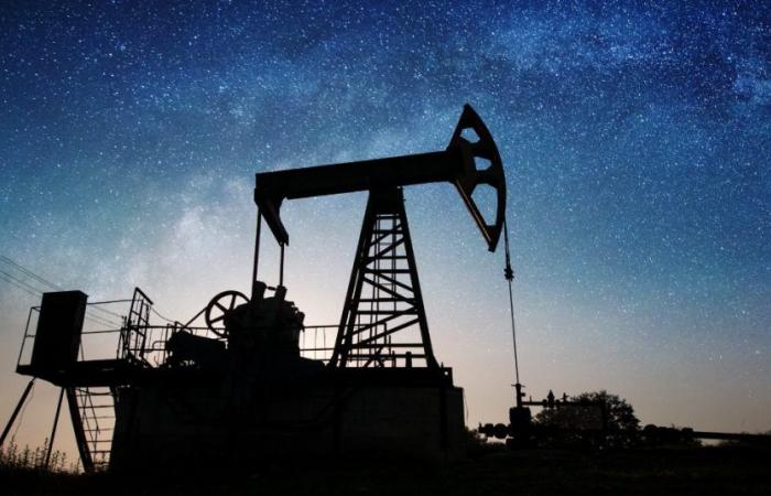 L’Arabia Saudita scopre sette nuovi giacimenti di petrolio e gas – .