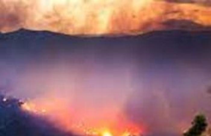 Rapporto incendi Ispra. Le Regioni sospendono la stagione venatoria 2024/2025 – .