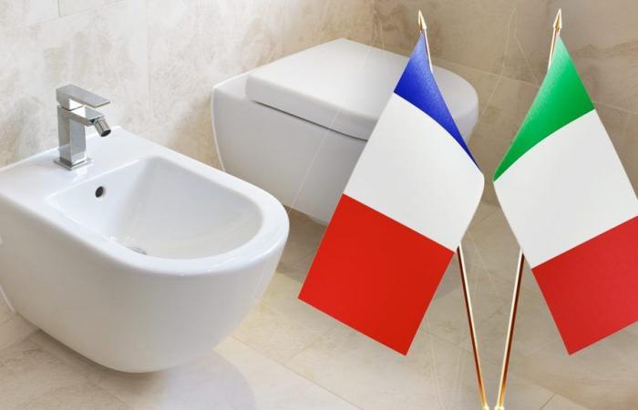 Perché i francesi hanno inventato il bidet ma non lo usano? In Italia non averne uno è illegale – .
