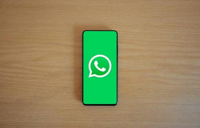 WhatsApp lascia senza parole, cosa succede con l’ultimo aggiornamento – .
