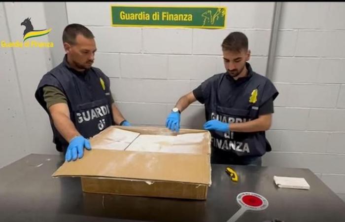 La Guardia di Finanza di Varese sequestra oltre 6 tonnellate di precursori della droga – .
