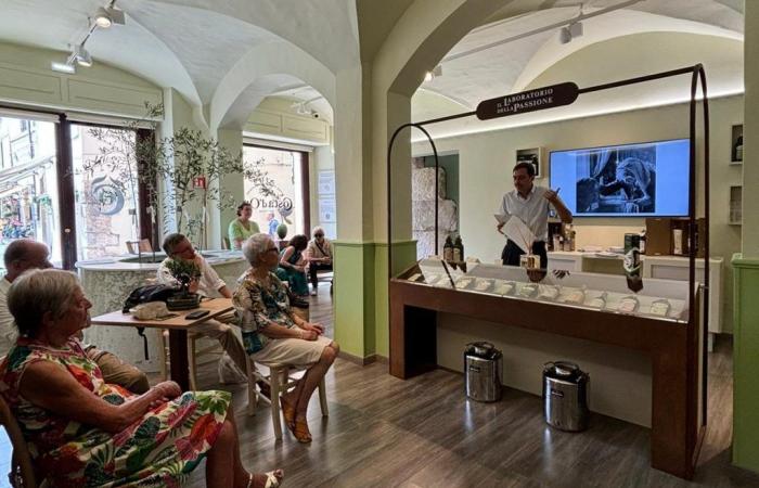 Costa d’Oro temporary shop opens – La Voce del Territorio Umbria – .