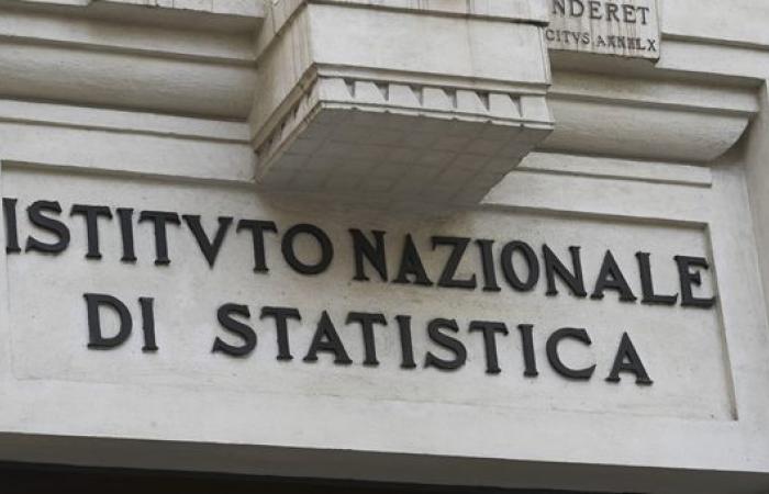 Le biblioteche pubbliche in Italia: la fotografia dell’Istat – Economia e Finanza